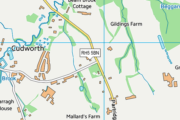 RH5 5BN map - OS VectorMap District (Ordnance Survey) RH5 5BN map - OS VectorMap District (Ordnance Survey)