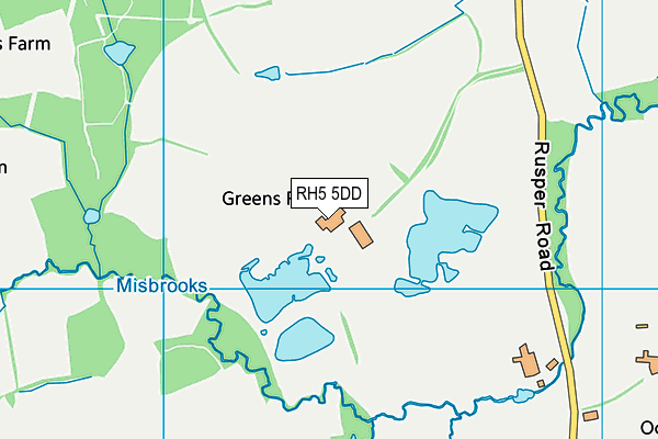 RH5 5DD map - OS VectorMap District (Ordnance Survey) RH5 5DD map - OS VectorMap District (Ordnance Survey)