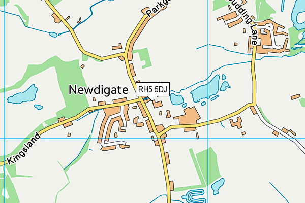 RH5 5DJ map - OS VectorMap District (Ordnance Survey) RH5 5DJ map - OS VectorMap District (Ordnance Survey)