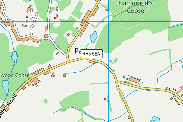 RH5 5EA map - OS VectorMap District (Ordnance Survey) RH5 5EA map - OS VectorMap District (Ordnance Survey)