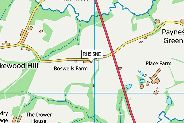 RH5 5NE map - OS VectorMap District (Ordnance Survey) RH5 5NE map - OS VectorMap District (Ordnance Survey)