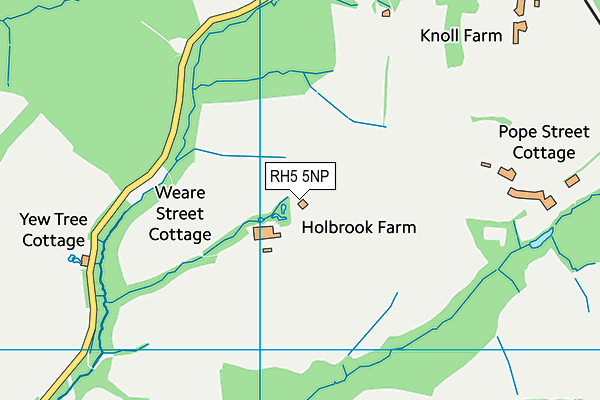 RH5 5NP map - OS VectorMap District (Ordnance Survey) RH5 5NP map - OS VectorMap District (Ordnance Survey)