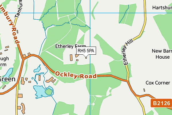 RH5 5PA map - OS VectorMap District (Ordnance Survey) RH5 5PA map - OS VectorMap District (Ordnance Survey)