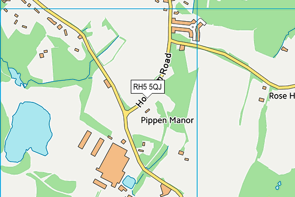 RH5 5QJ map - OS VectorMap District (Ordnance Survey) RH5 5QJ map - OS VectorMap District (Ordnance Survey)