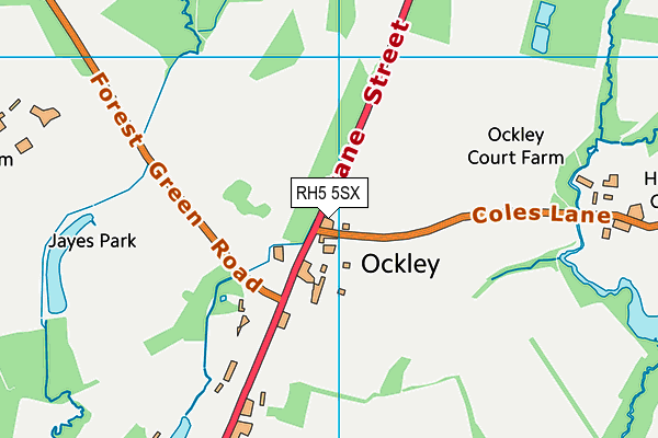 RH5 5SX map - OS VectorMap District (Ordnance Survey) RH5 5SX map - OS VectorMap District (Ordnance Survey)
