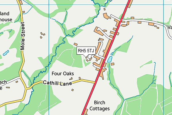 RH5 5TJ map - OS VectorMap District (Ordnance Survey) RH5 5TJ map - OS VectorMap District (Ordnance Survey)