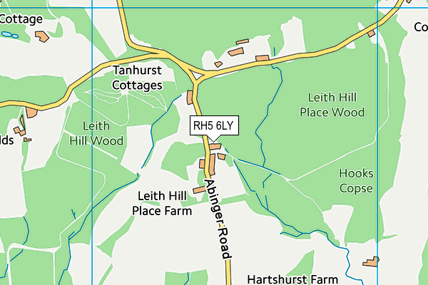 RH5 6LY map - OS VectorMap District (Ordnance Survey) RH5 6LY map - OS VectorMap District (Ordnance Survey)