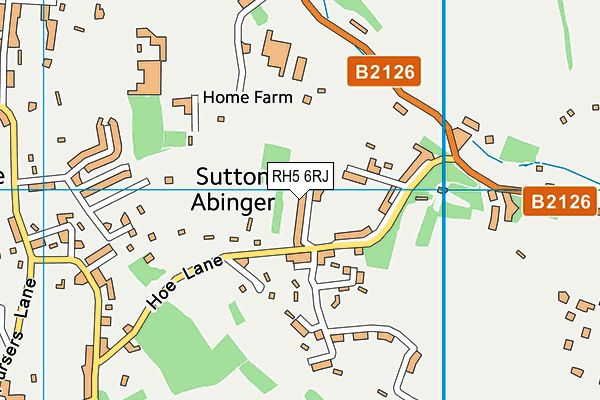 RH5 6RJ map - OS VectorMap District (Ordnance Survey) RH5 6RJ map - OS VectorMap District (Ordnance Survey)