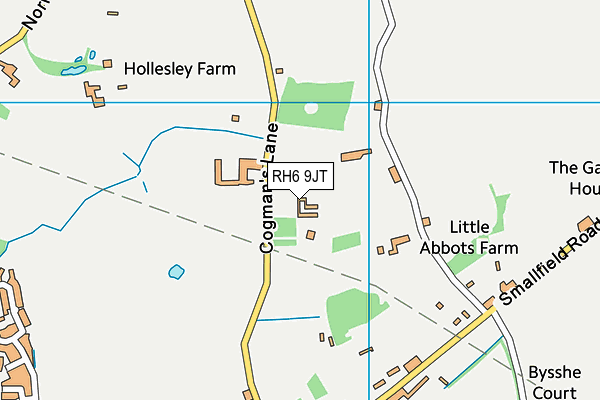 RH6 9JT map - OS VectorMap District (Ordnance Survey) RH6 9JT map - OS VectorMap District (Ordnance Survey)