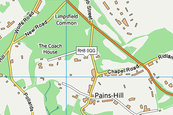 RH8 0QG map - OS VectorMap District (Ordnance Survey) RH8 0QG map - OS VectorMap District (Ordnance Survey)