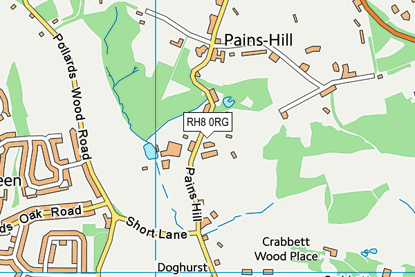 RH8 0RG map - OS VectorMap District (Ordnance Survey) RH8 0RG map - OS VectorMap District (Ordnance Survey)