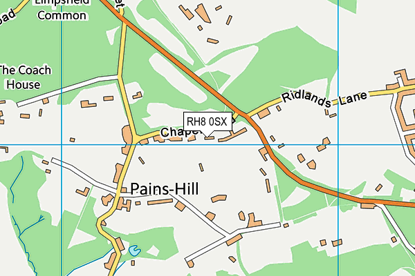 RH8 0SX map - OS VectorMap District (Ordnance Survey) RH8 0SX map - OS VectorMap District (Ordnance Survey)