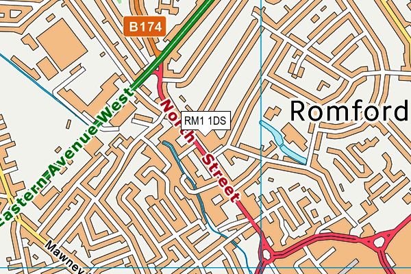 RM1 1DS map - OS VectorMap District (Ordnance Survey) RM1 1DS map - OS VectorMap District (Ordnance Survey)