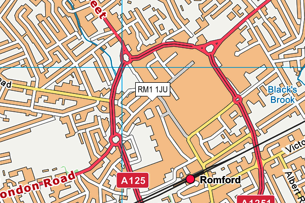 RM1 1JU map - OS VectorMap District (Ordnance Survey) RM1 1JU map - OS VectorMap District (Ordnance Survey)
