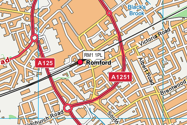 RM1 1PL map - OS VectorMap District (Ordnance Survey) RM1 1PL map - OS VectorMap District (Ordnance Survey)