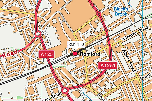 RM1 1TU map - OS VectorMap District (Ordnance Survey) RM1 1TU map - OS VectorMap District (Ordnance Survey)