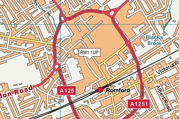 RM1 1UP map - OS VectorMap District (Ordnance Survey) RM1 1UP map - OS VectorMap District (Ordnance Survey)