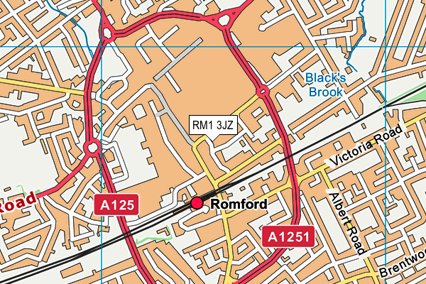 RM1 3JZ map - OS VectorMap District (Ordnance Survey) RM1 3JZ map - OS VectorMap District (Ordnance Survey)
