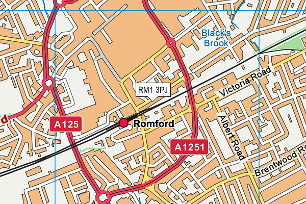 RM1 3PJ map - OS VectorMap District (Ordnance Survey) RM1 3PJ map - OS VectorMap District (Ordnance Survey)