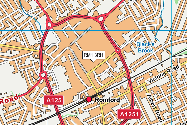 RM1 3RH map - OS VectorMap District (Ordnance Survey) RM1 3RH map - OS VectorMap District (Ordnance Survey)