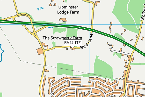 RM14 1TZ map - OS VectorMap District (Ordnance Survey) RM14 1TZ map - OS VectorMap District (Ordnance Survey)