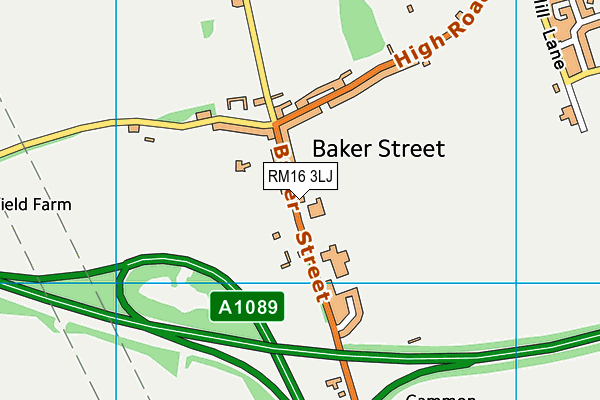 RM16 3LJ map - OS VectorMap District (Ordnance Survey) RM16 3LJ map - OS VectorMap District (Ordnance Survey)