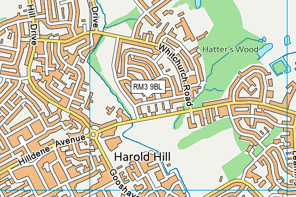 RM3 9BL map - OS VectorMap District (Ordnance Survey) RM3 9BL map - OS VectorMap District (Ordnance Survey)