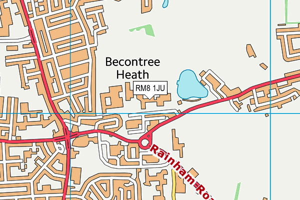 RM8 1JU map - OS VectorMap District (Ordnance Survey) RM8 1JU map - OS VectorMap District (Ordnance Survey)