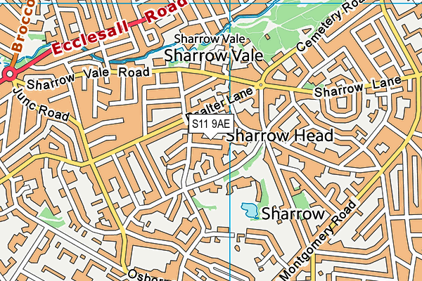 S11 9AE map - OS VectorMap District (Ordnance Survey) S11 9AE map - OS VectorMap District (Ordnance Survey)
