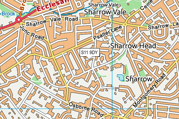 S11 9DY map - OS VectorMap District (Ordnance Survey) S11 9DY map - OS VectorMap District (Ordnance Survey)
