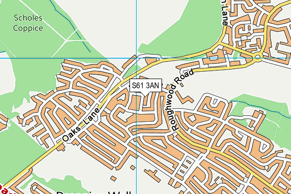 S61 3AN map - OS VectorMap District (Ordnance Survey) S61 3AN map - OS VectorMap District (Ordnance Survey)