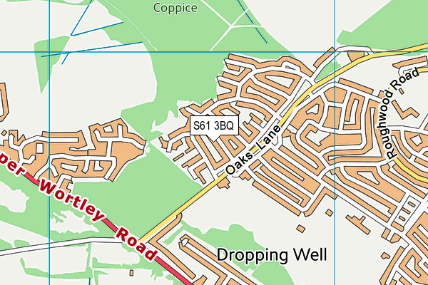 S61 3BQ map - OS VectorMap District (Ordnance Survey) S61 3BQ map - OS VectorMap District (Ordnance Survey)