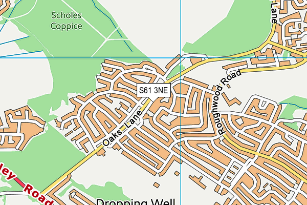 S61 3NE map - OS VectorMap District (Ordnance Survey) S61 3NE map - OS VectorMap District (Ordnance Survey)