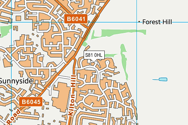S81 0HL map - OS VectorMap District (Ordnance Survey) S81 0HL map - OS VectorMap District (Ordnance Survey)