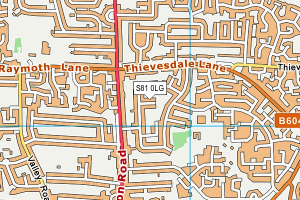 S81 0LG map - OS VectorMap District (Ordnance Survey) S81 0LG map - OS VectorMap District (Ordnance Survey)