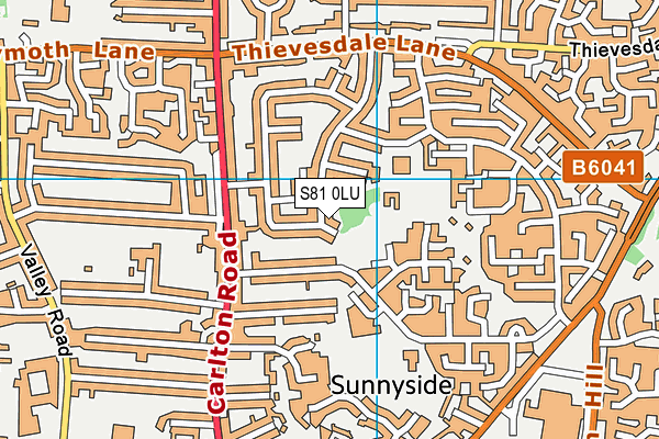 S81 0LU map - OS VectorMap District (Ordnance Survey) S81 0LU map - OS VectorMap District (Ordnance Survey)