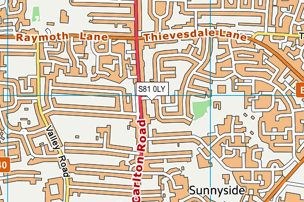S81 0LY map - OS VectorMap District (Ordnance Survey) S81 0LY map - OS VectorMap District (Ordnance Survey)
