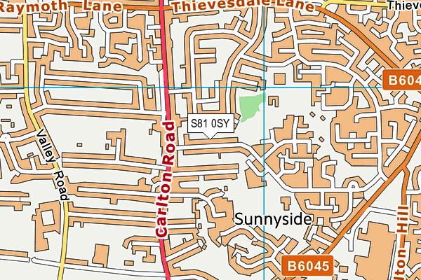 S81 0SY map - OS VectorMap District (Ordnance Survey) S81 0SY map - OS VectorMap District (Ordnance Survey)
