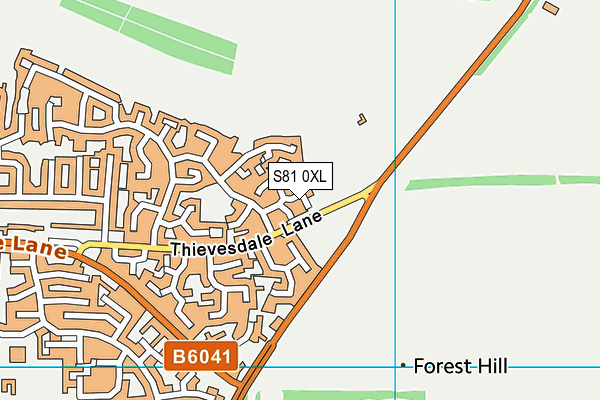 S81 0XL map - OS VectorMap District (Ordnance Survey) S81 0XL map - OS VectorMap District (Ordnance Survey)