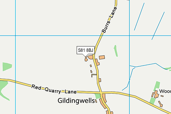 S81 8BJ map - OS VectorMap District (Ordnance Survey) S81 8BJ map - OS VectorMap District (Ordnance Survey)