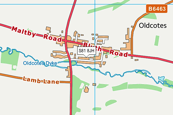 S81 8JH map - OS VectorMap District (Ordnance Survey)