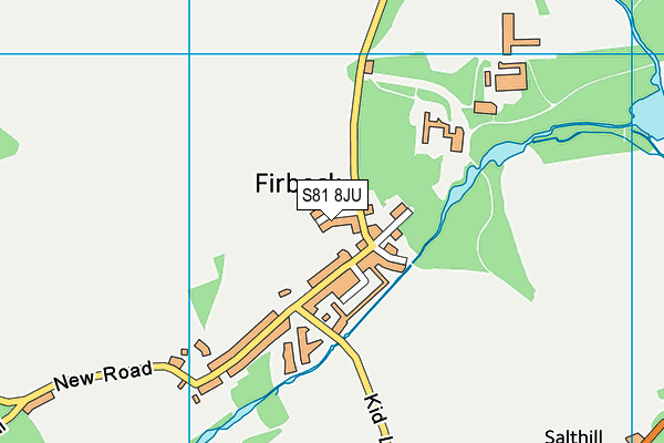 S81 8JU map - OS VectorMap District (Ordnance Survey) S81 8JU map - OS VectorMap District (Ordnance Survey)