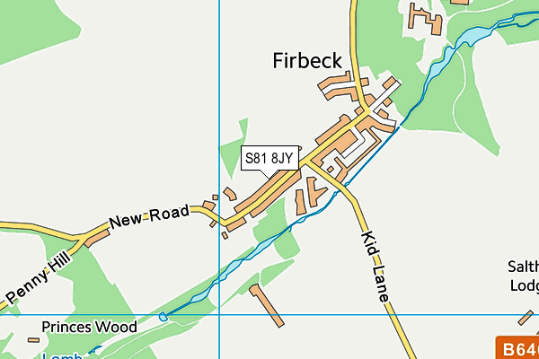 S81 8JY map - OS VectorMap District (Ordnance Survey) S81 8JY map - OS VectorMap District (Ordnance Survey)