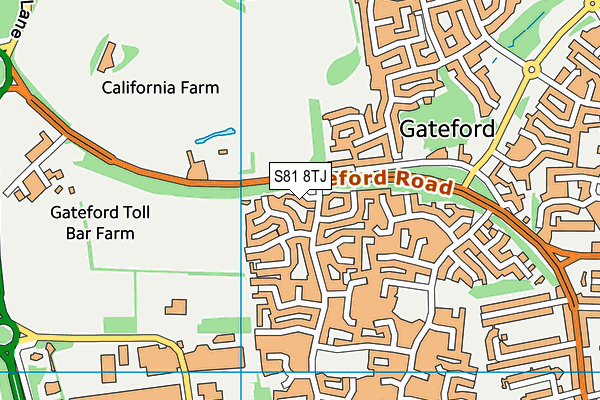 S81 8TJ map - OS VectorMap District (Ordnance Survey) S81 8TJ map - OS VectorMap District (Ordnance Survey)