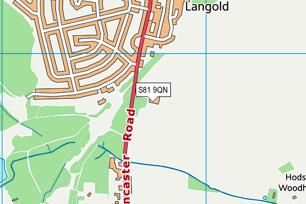 S81 9QN map - OS VectorMap District (Ordnance Survey) S81 9QN map - OS VectorMap District (Ordnance Survey)