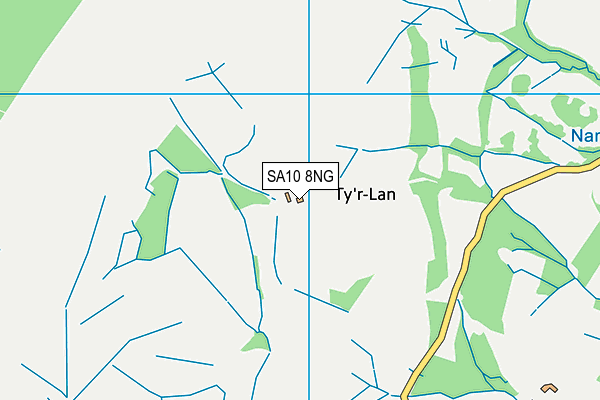 SA10 8NG map - OS VectorMap District (Ordnance Survey) SA10 8NG map - OS VectorMap District (Ordnance Survey)