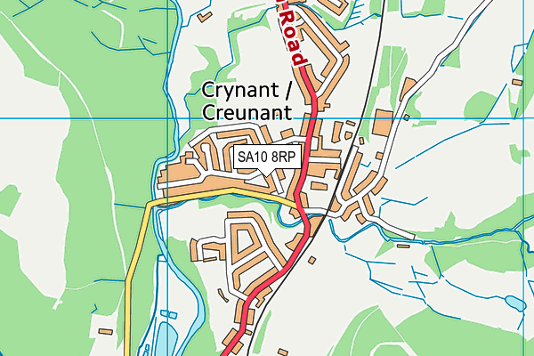 SA10 8RP map - OS VectorMap District (Ordnance Survey) SA10 8RP map - OS VectorMap District (Ordnance Survey)