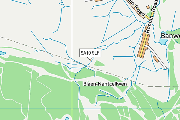 SA10 9LF map - OS VectorMap District (Ordnance Survey) SA10 9LF map - OS VectorMap District (Ordnance Survey)