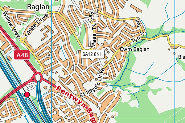 SA12 8NH map - OS VectorMap District (Ordnance Survey) SA12 8NH map - OS VectorMap District (Ordnance Survey)