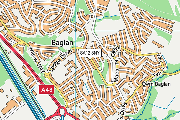 SA12 8NY map - OS VectorMap District (Ordnance Survey) SA12 8NY map - OS VectorMap District (Ordnance Survey)